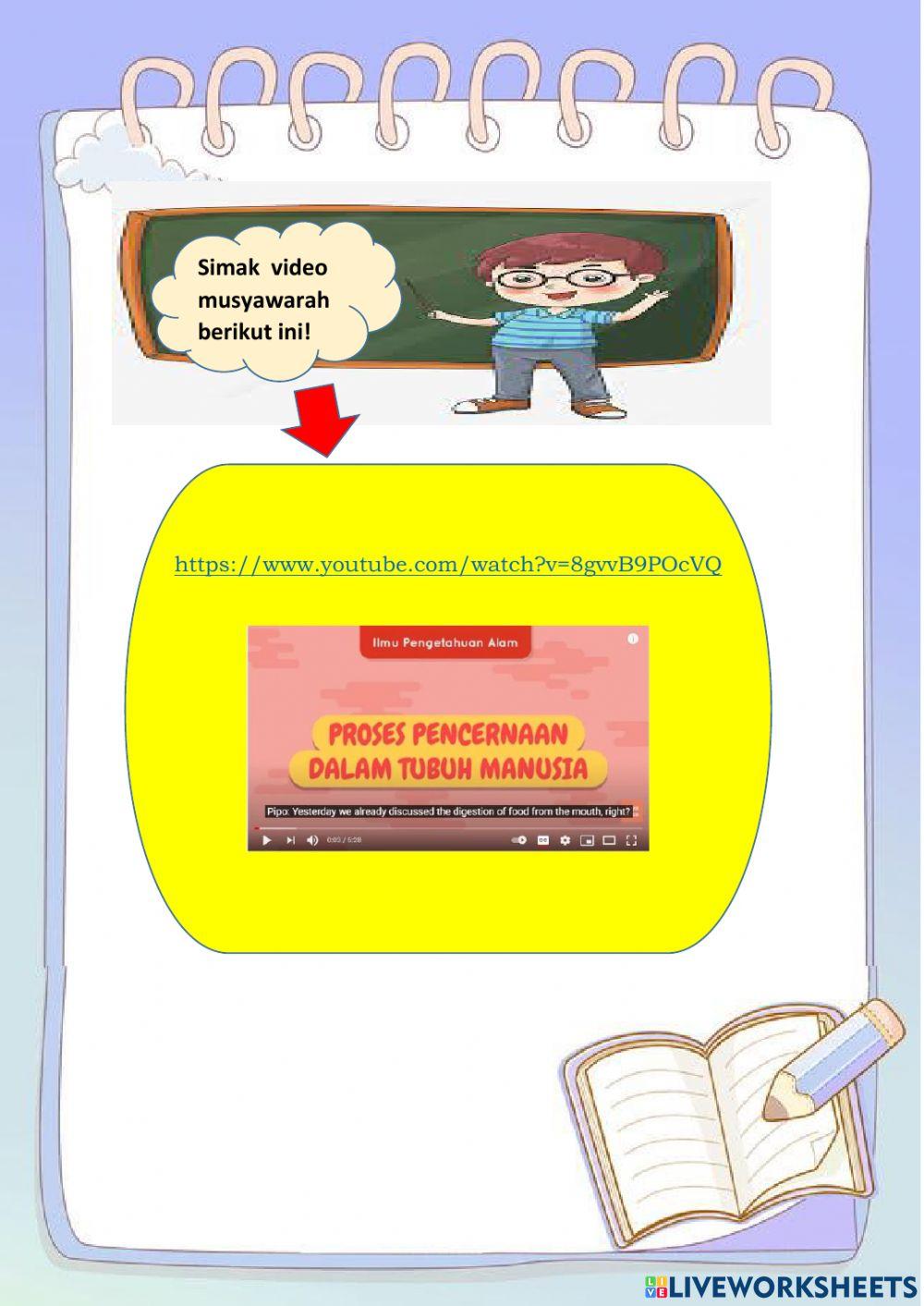 Organ Pencernaan Manusia 1