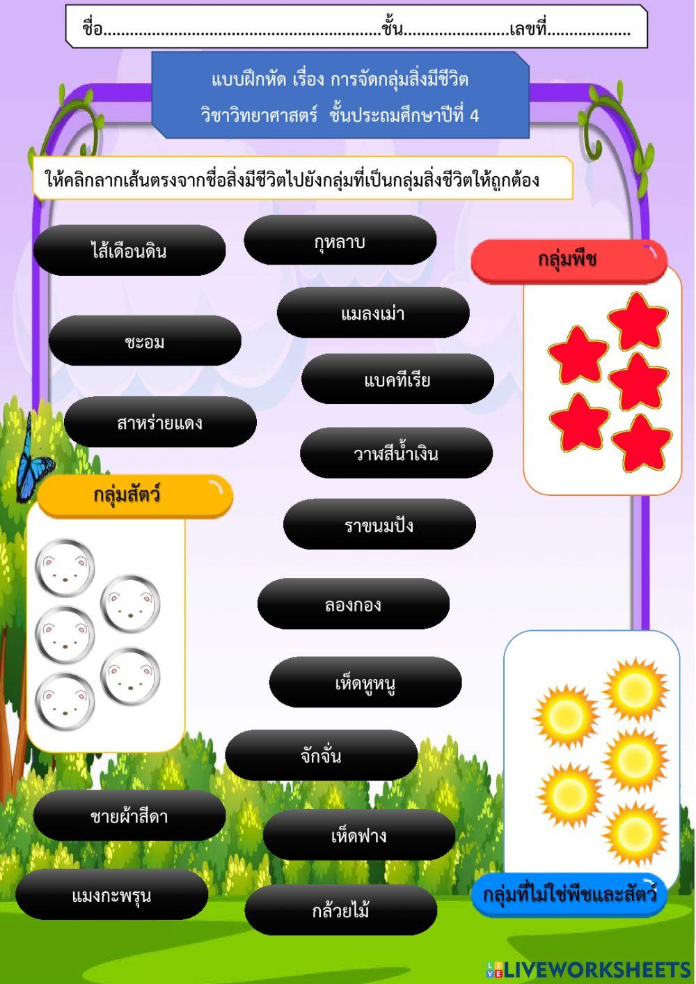 แบบฝึกหัดการจัดกลุ่มสิ่งมีชีวิต