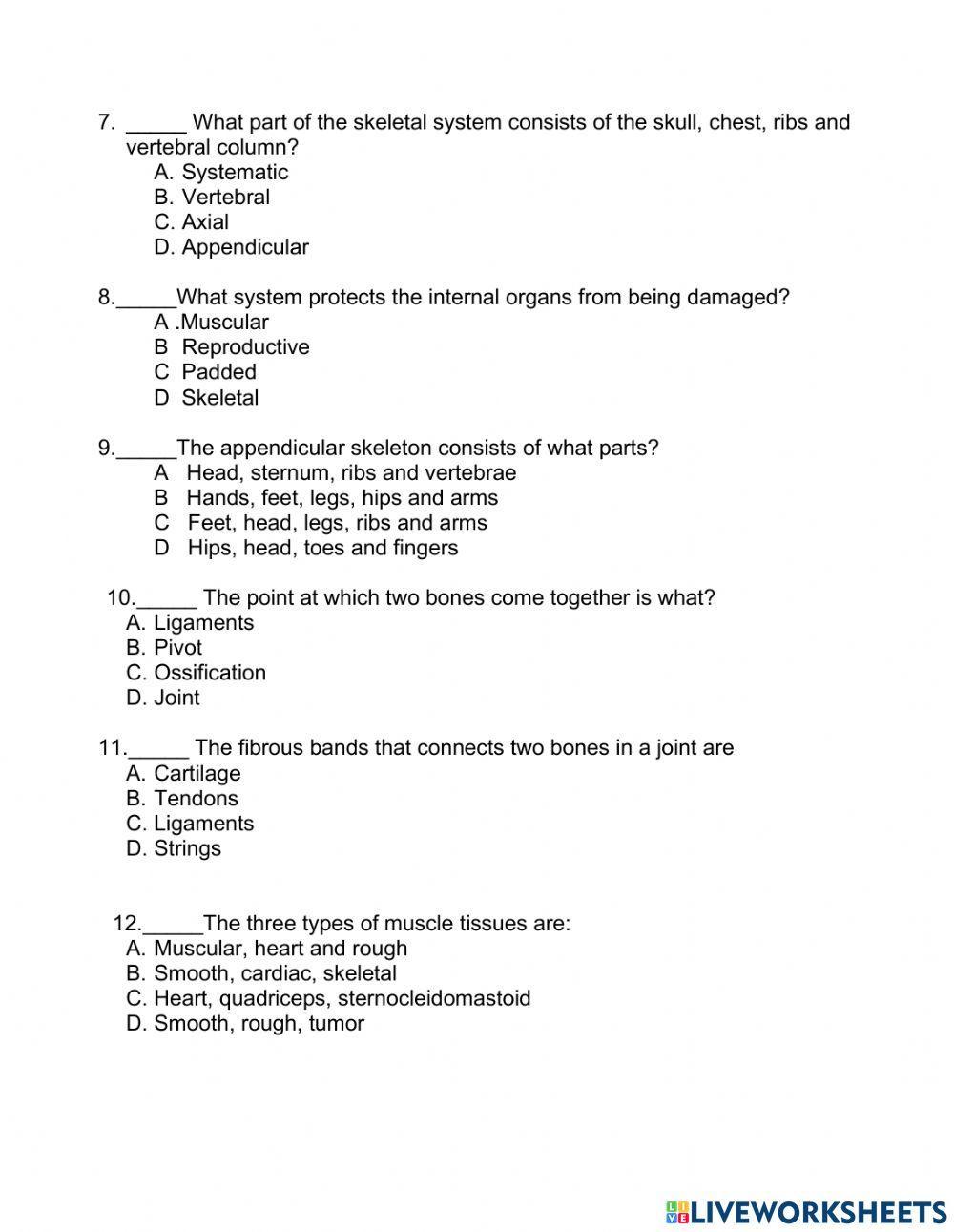 Skeletal and  Muscular System Review