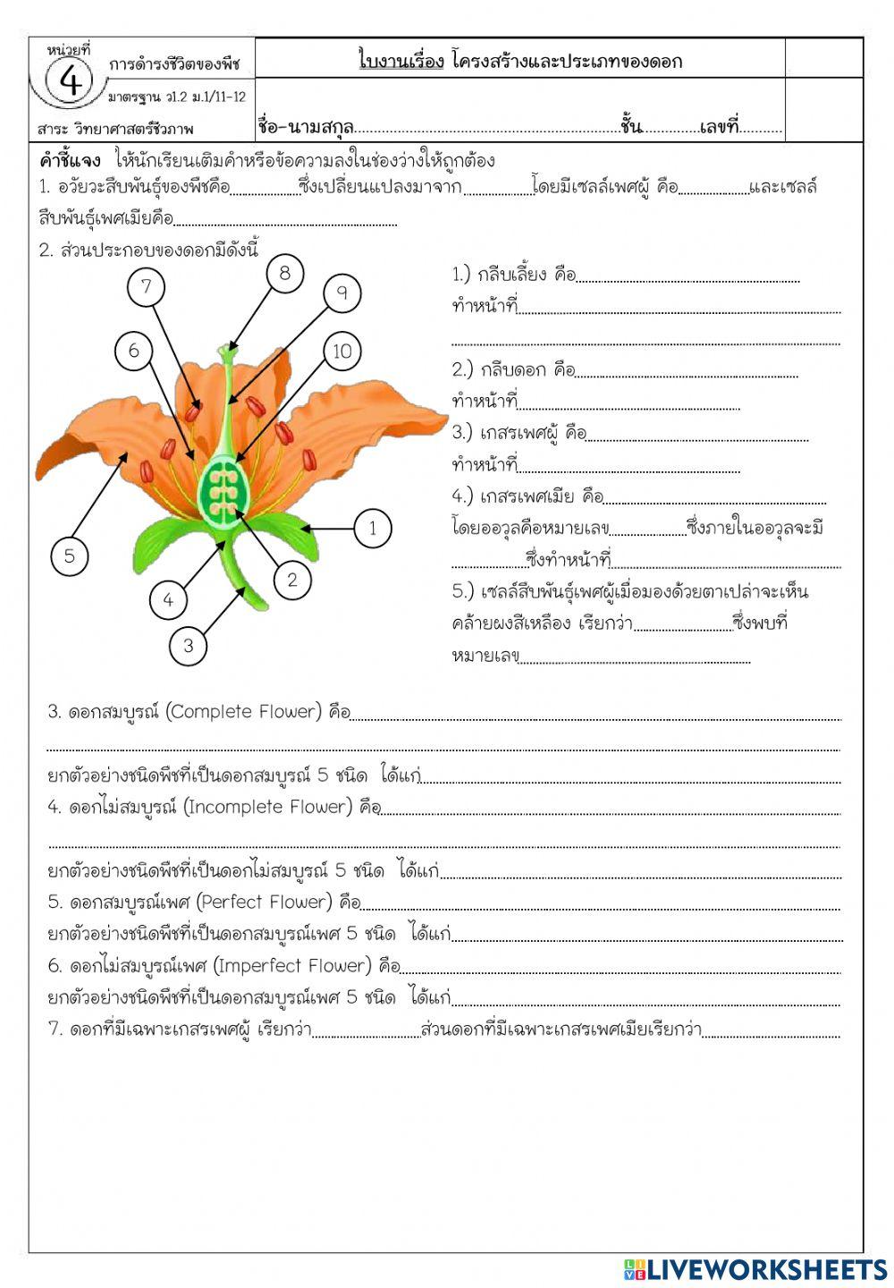 โครงสร้างของดอก