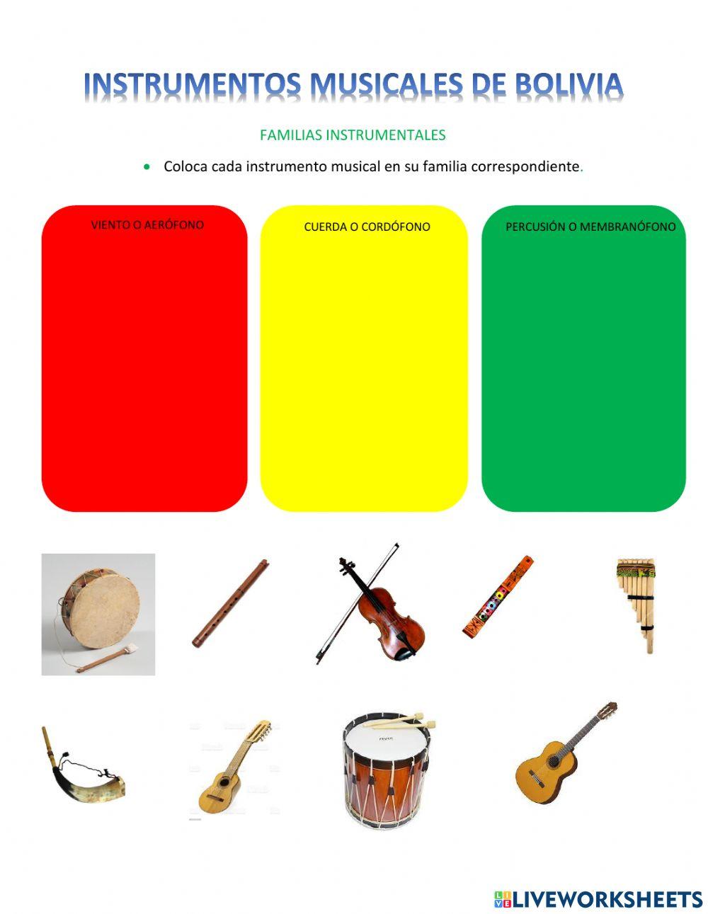 Instrumentos musicales de Bolivia