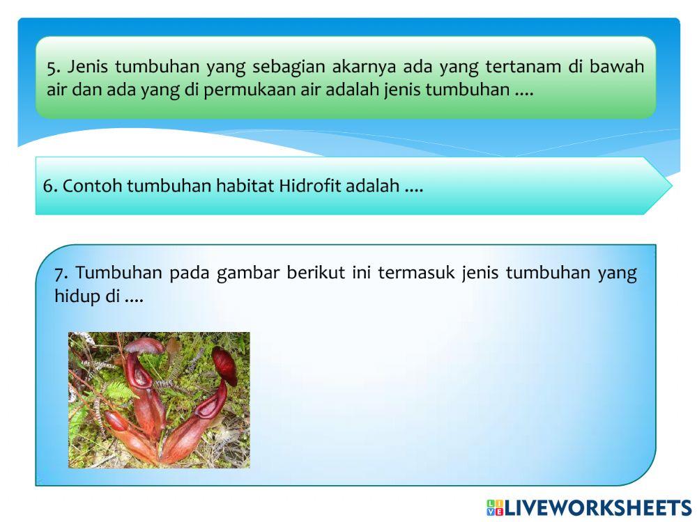 Ilmu pengetahuan alam