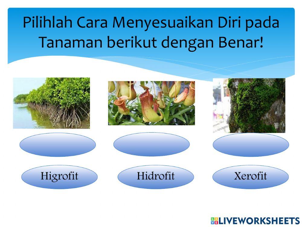 Ilmu pengetahuan alam