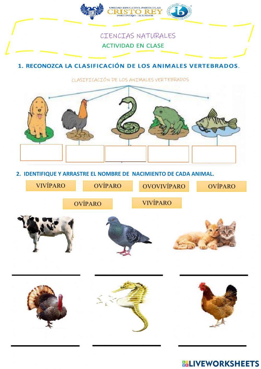Los animales y su clasificación