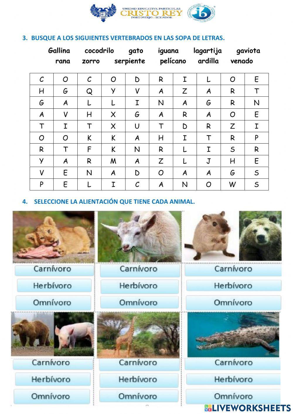 Los animales y su clasificación