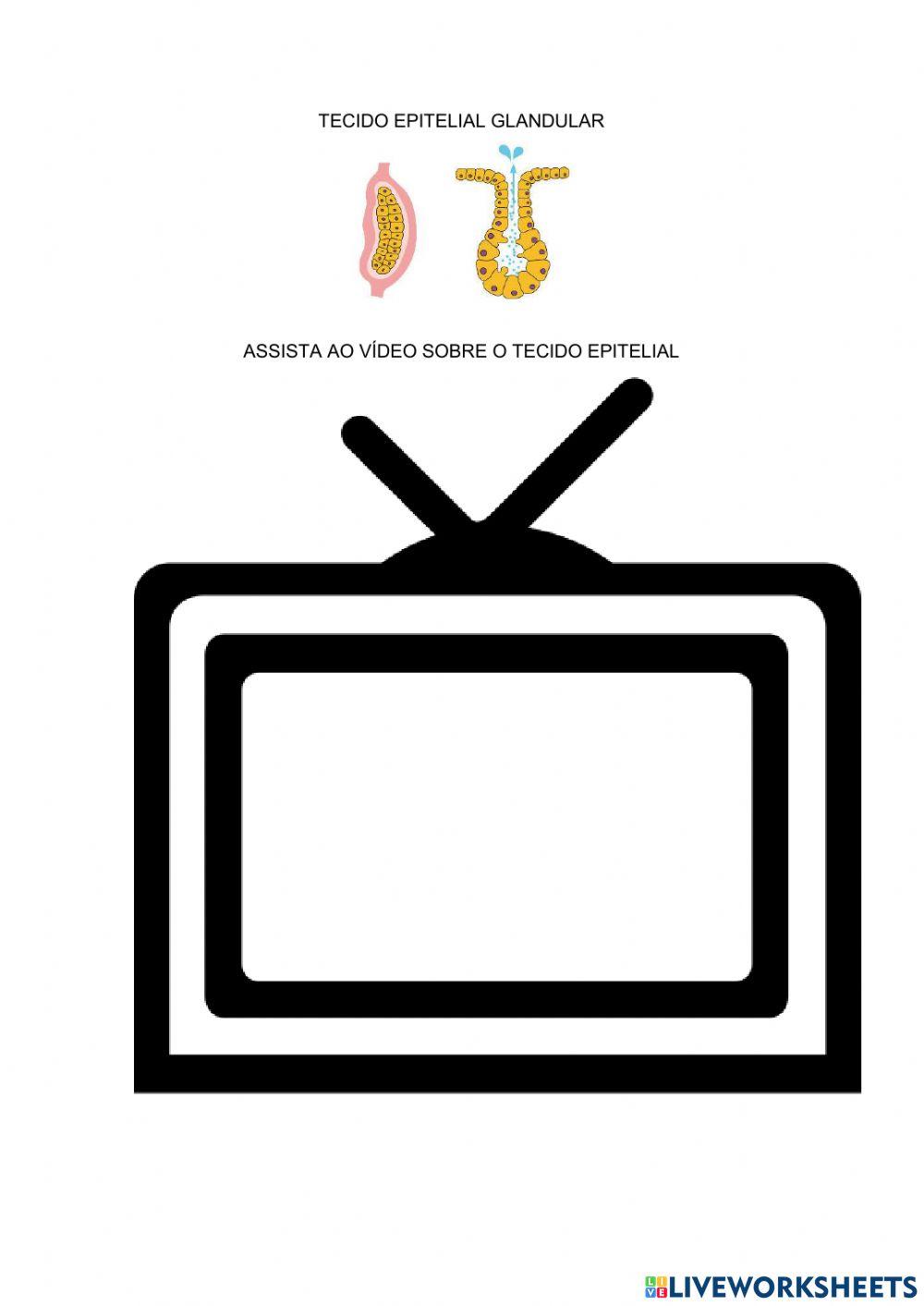 Tecidos do corpo humano