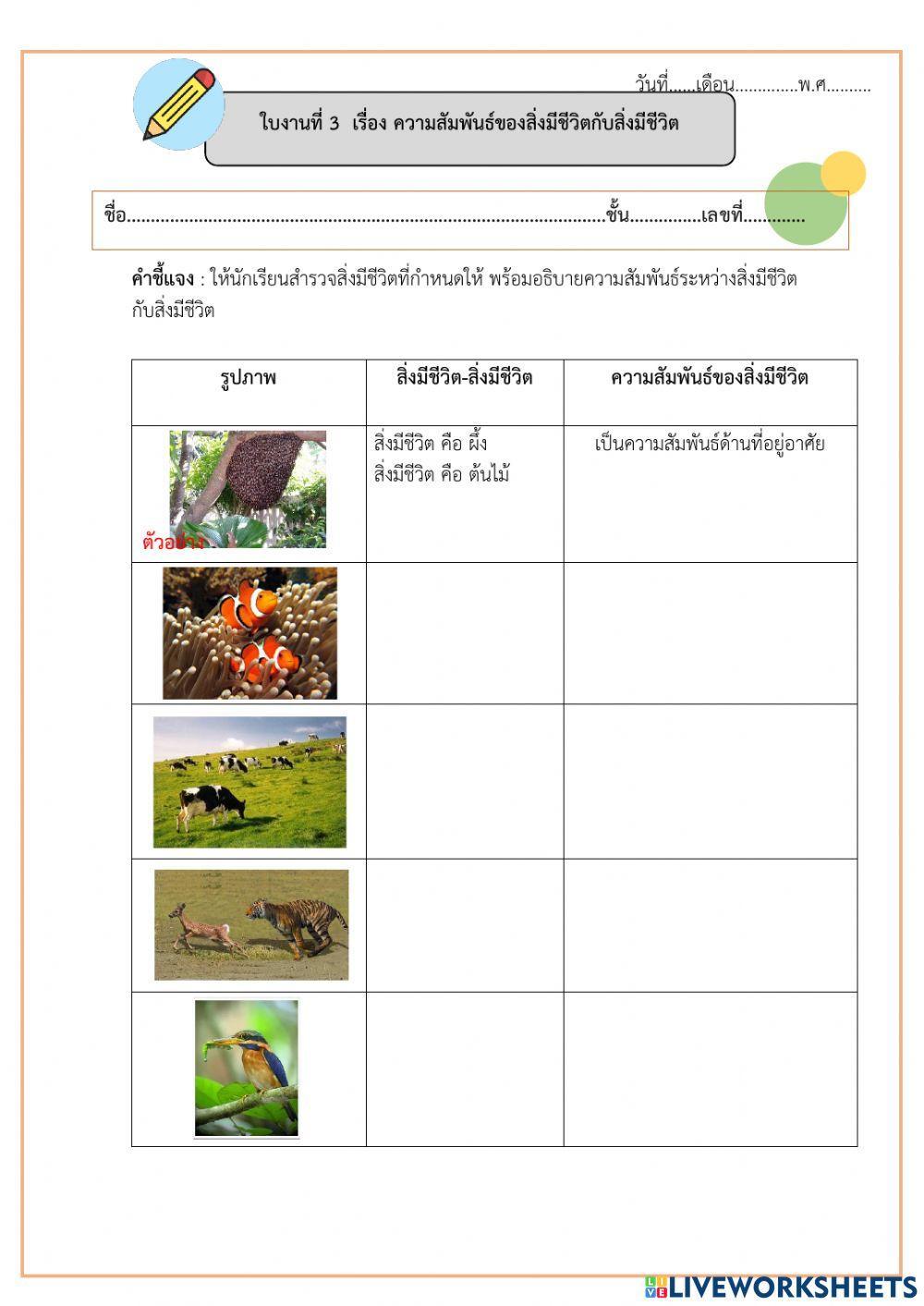ใบงานที่ 3 และ ใบงานที่ 4 เรื่องความสัมพันธ์ของสิ่งมีชีวิต