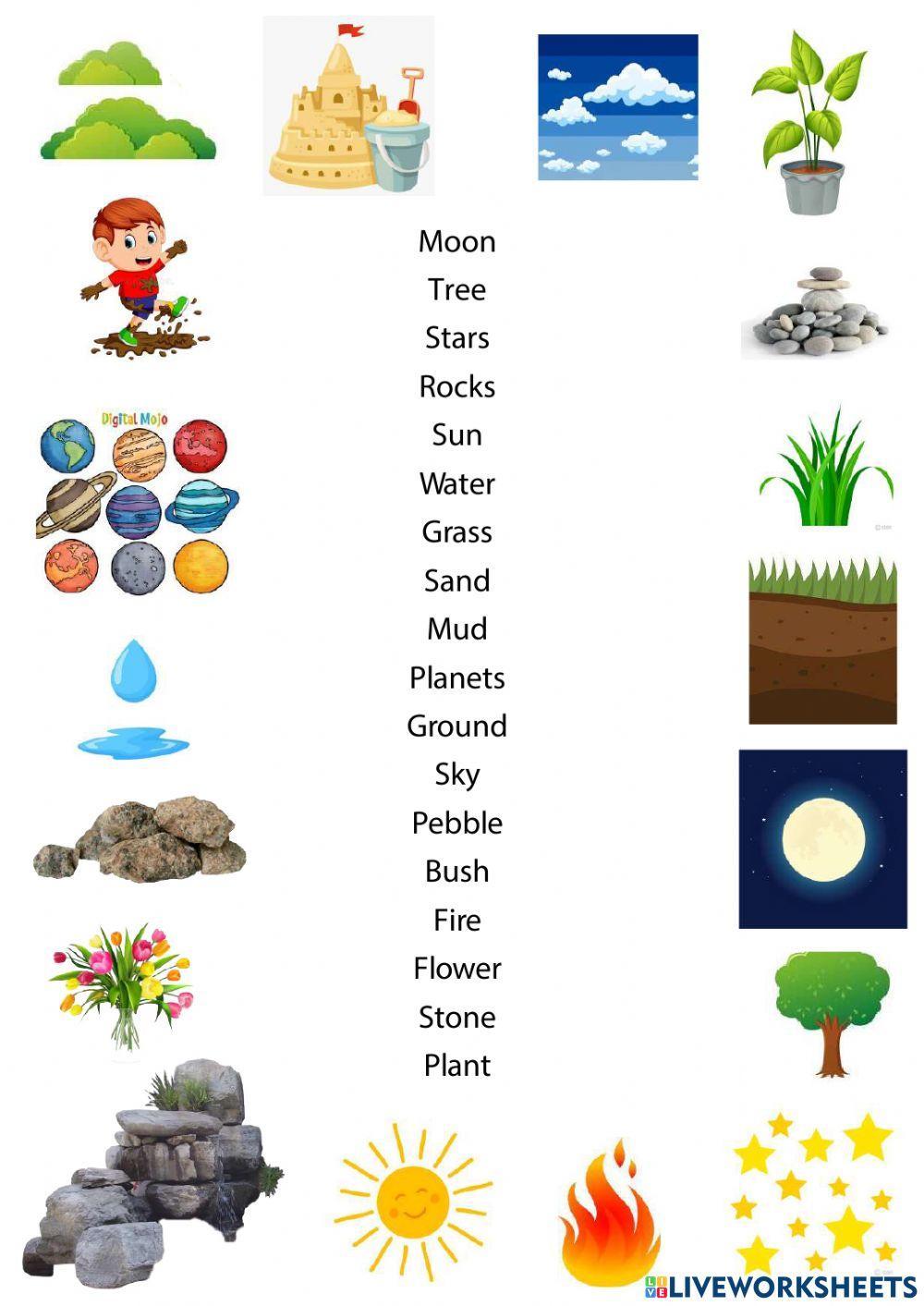 Nature - Vocabulary 1° / 2° Free Activities online for kids in 1st
