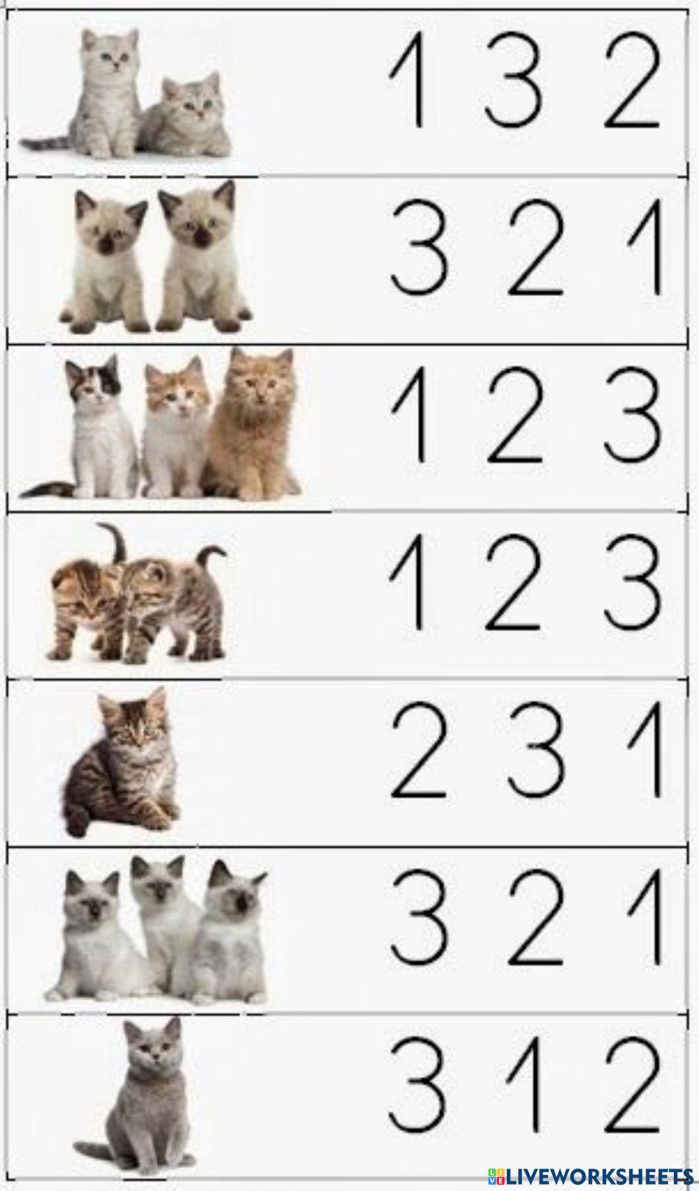 Menghitung jumlah hewan 1-3