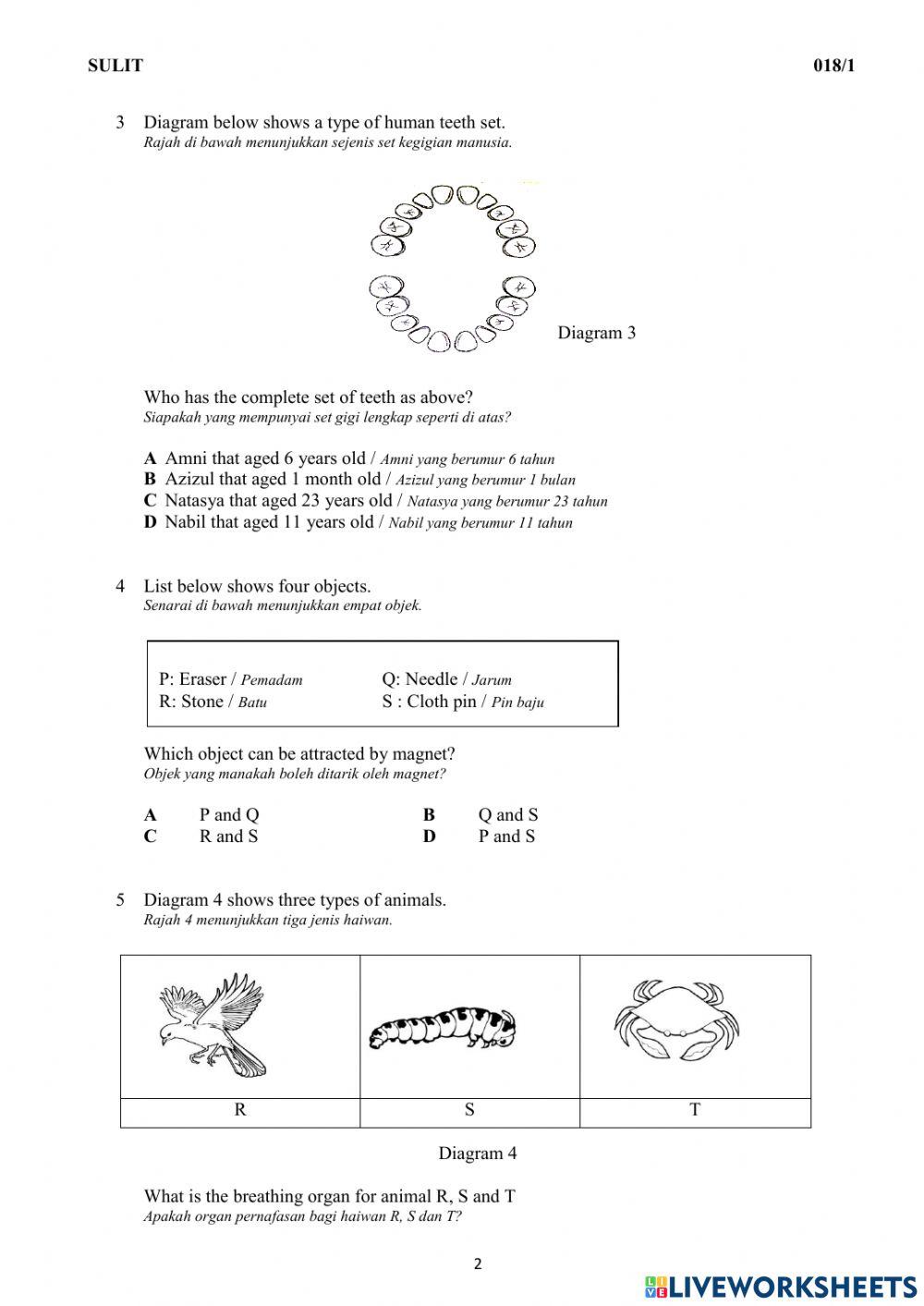 Year 5 Revision 1