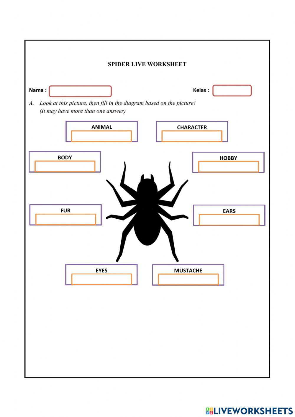 Lkpd spider bahasa inggris