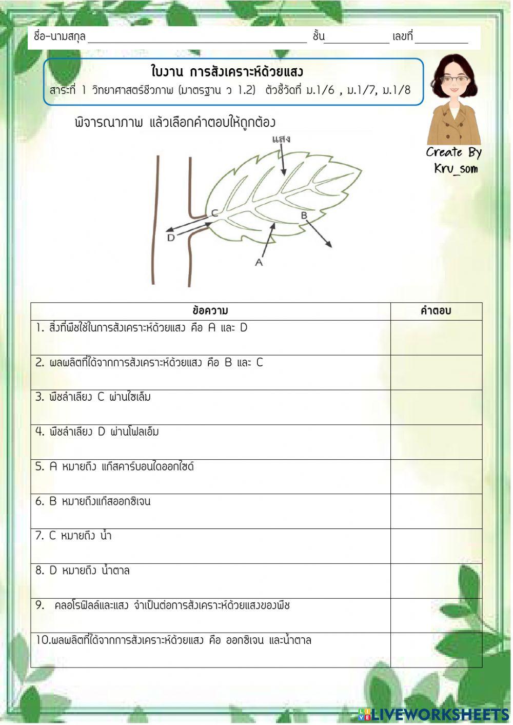การสังเคราะห์ด้วยแสง