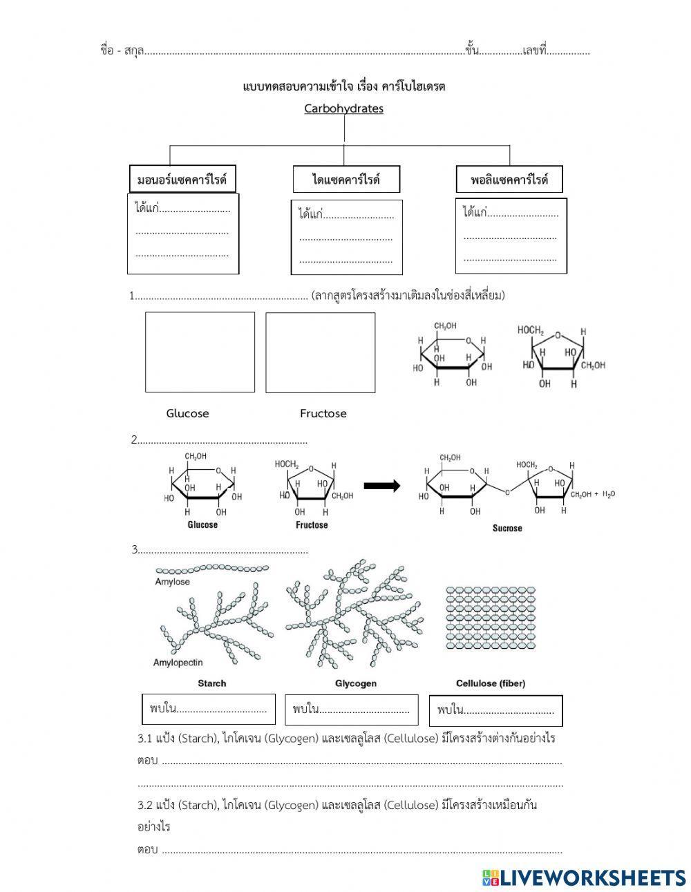 คาร์โบไฮเดรต