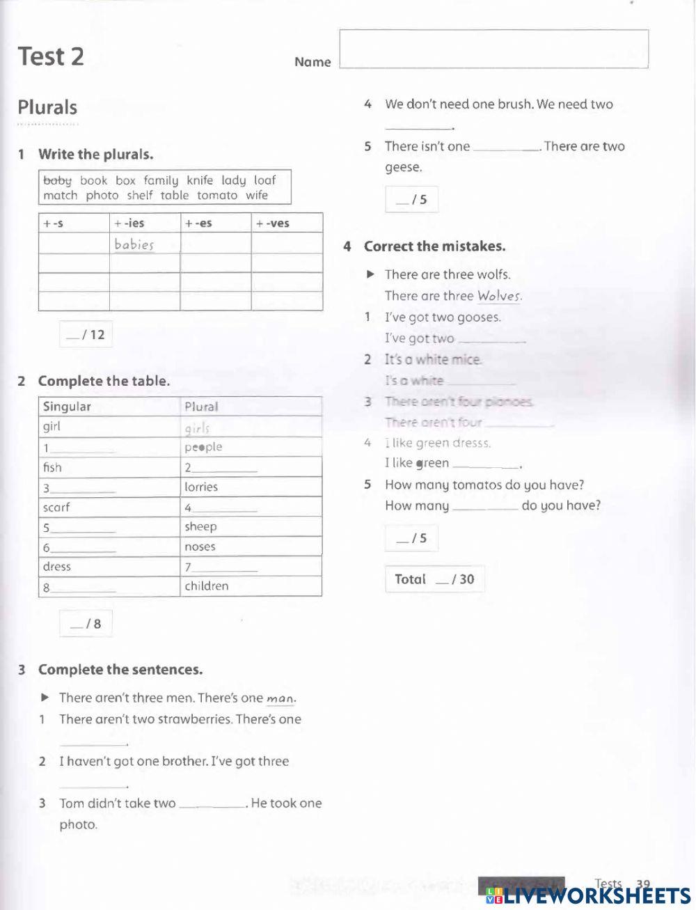 Grammar Test 1 Personal Pronouns and Plural