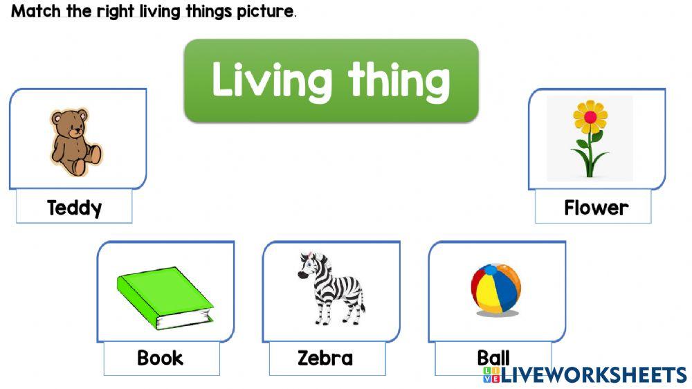 Living things and non living things