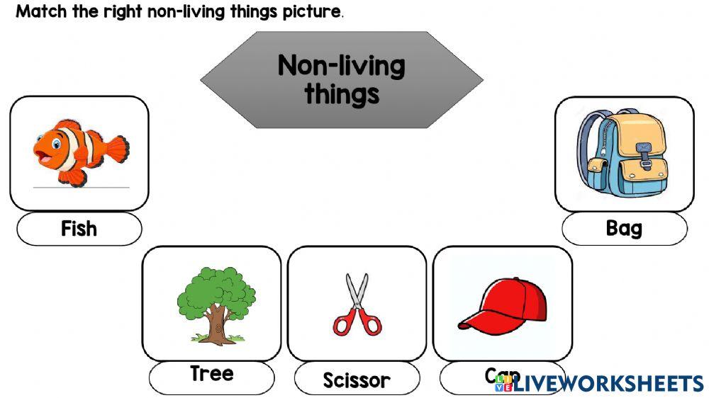 Living things and non living things