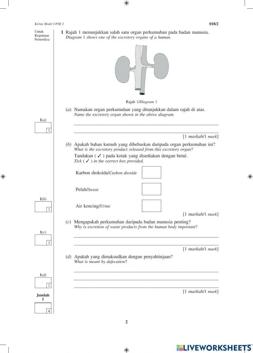 Soalan Model UPSR Kertas 2