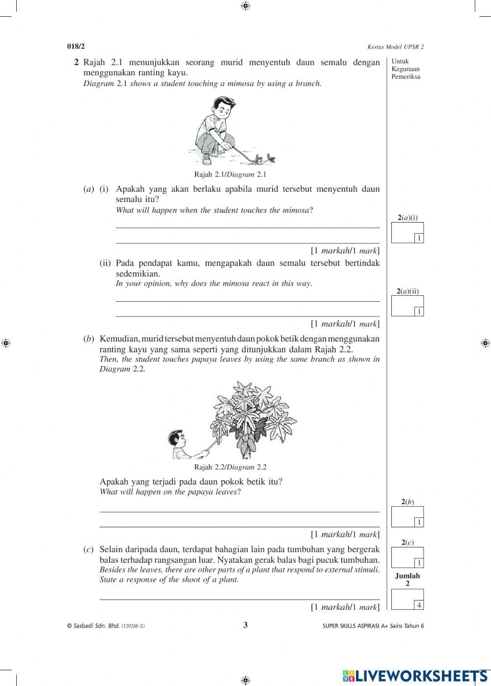 Soalan Model UPSR Kertas 2