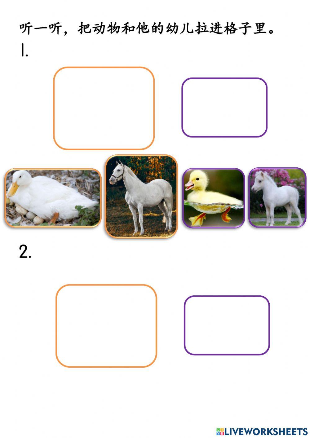 动物和他的幼儿