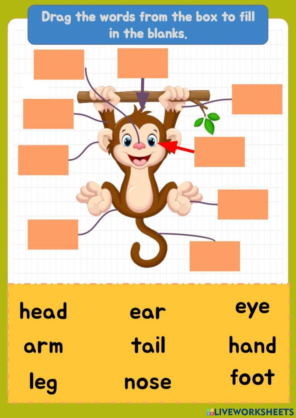 Parts of animal body