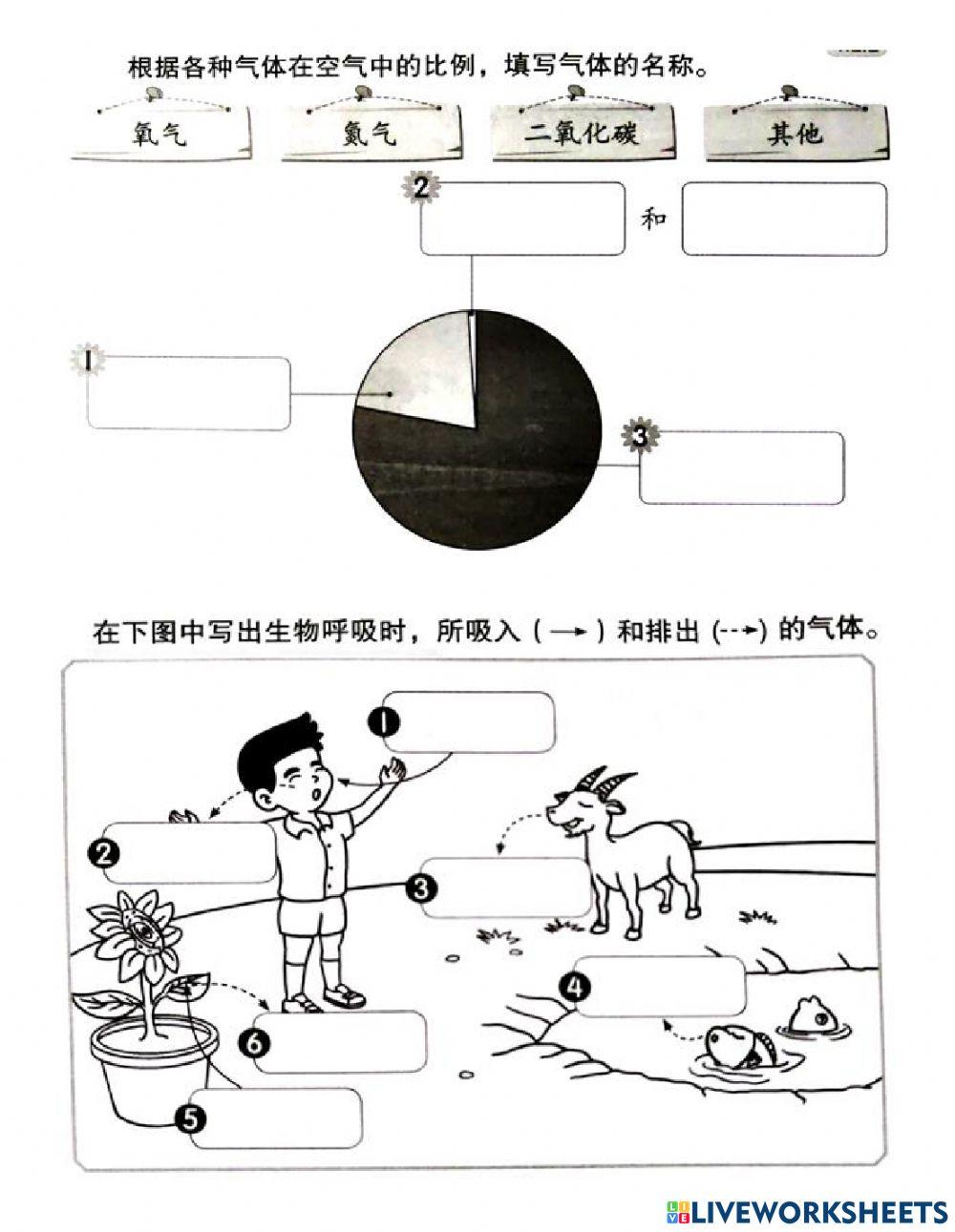 二年级科学单元九 空气