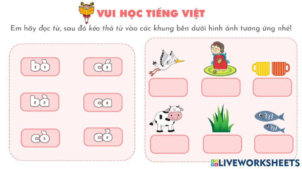 Phieu On tap TV tuan 1