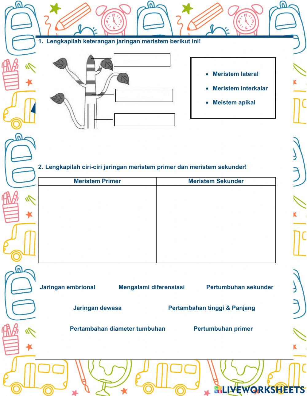 Struktur dan Fungsi Jaringan Tumbuhan