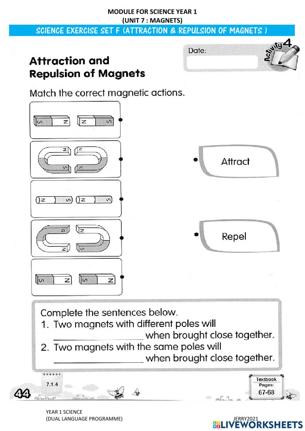 Science Year 1 : Magnet Repel & Attract
