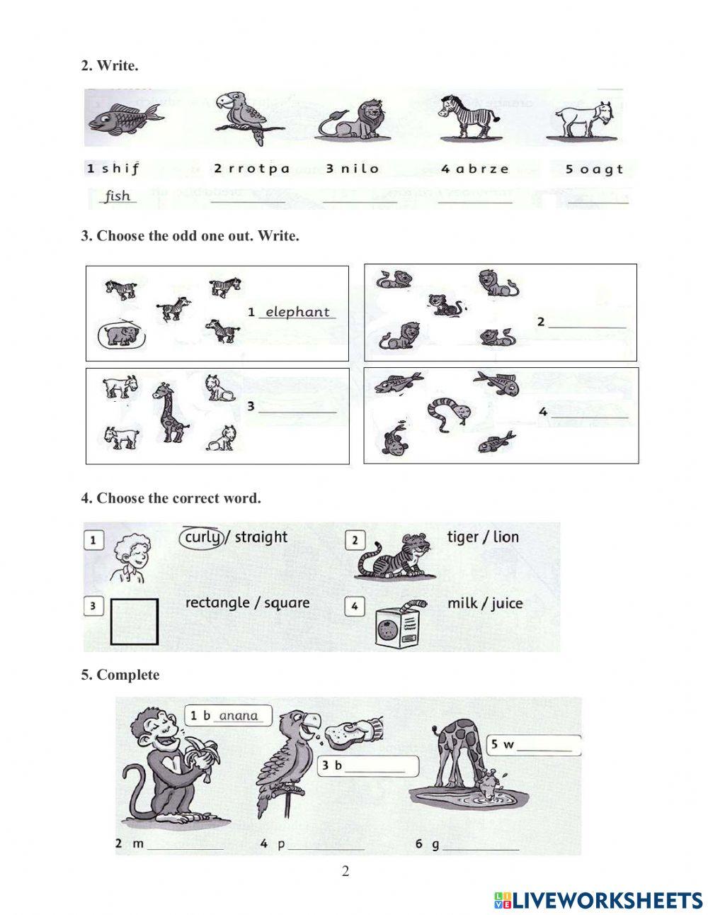 DS - Fa1 - Test 4 Writing