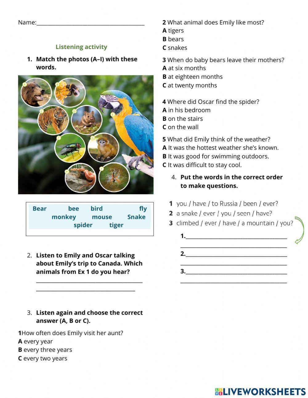 Listening activity 6th