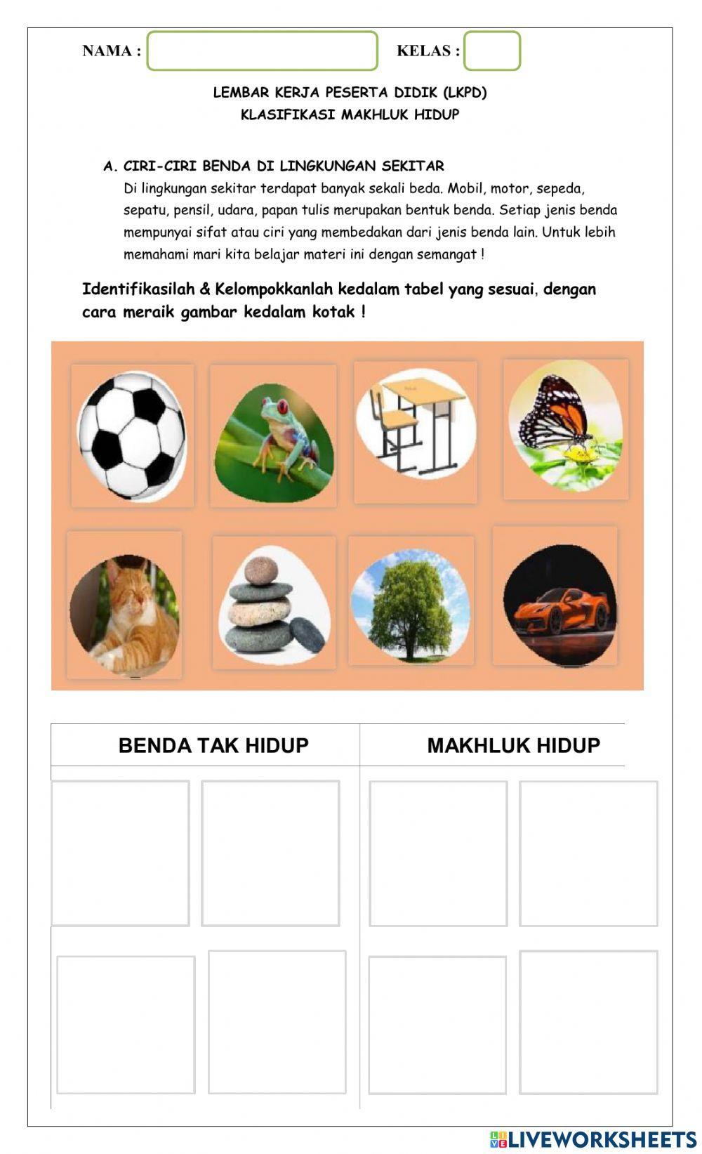 Ciri-ciri makhluk hidup