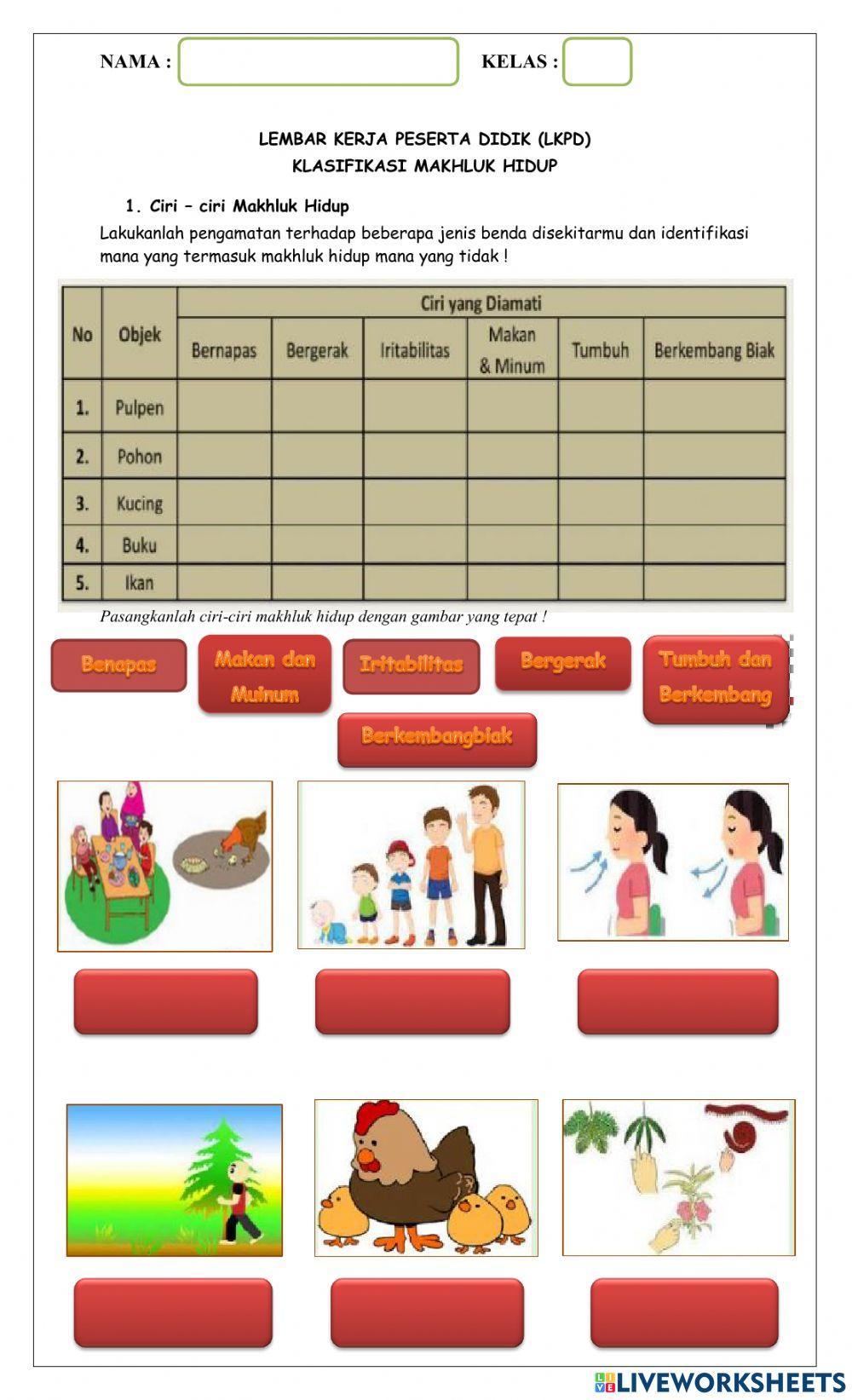 Ciri-ciri makhluk hidup