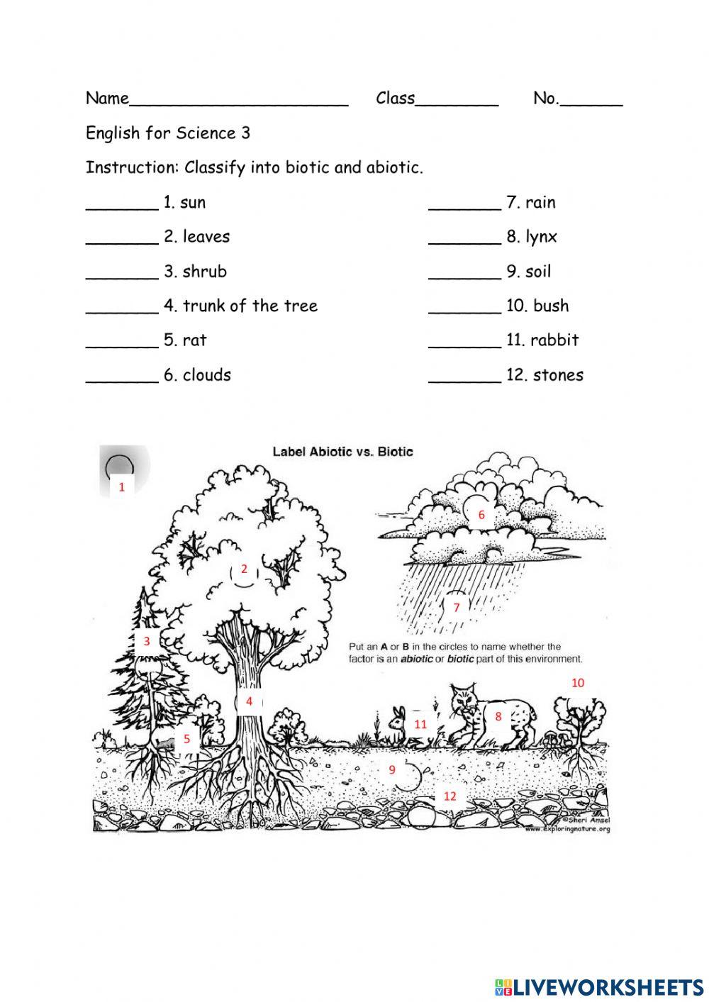 biotic-or-abiotic-liveworksheets-1338561