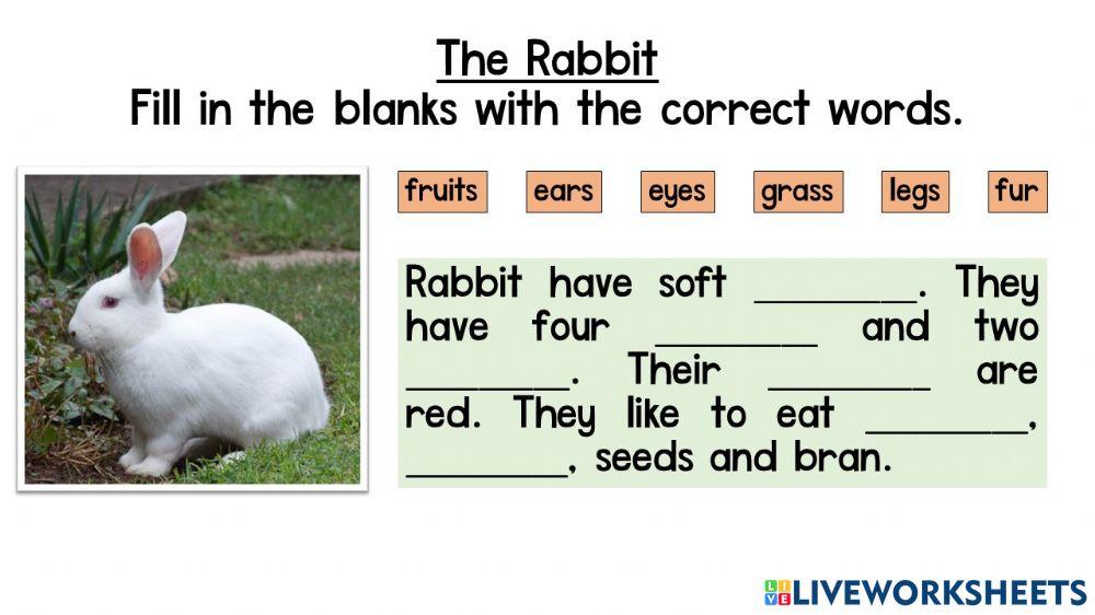 Year 1 Unit 3 The Rabbits