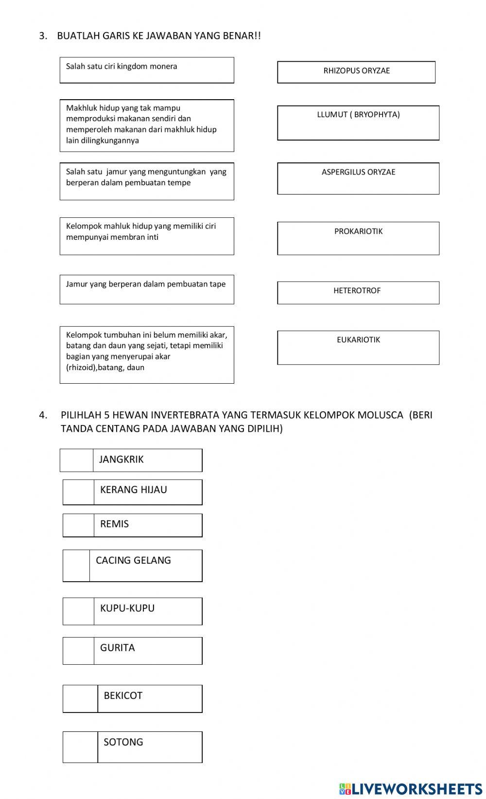 Klasifikasi mahluk hidup
