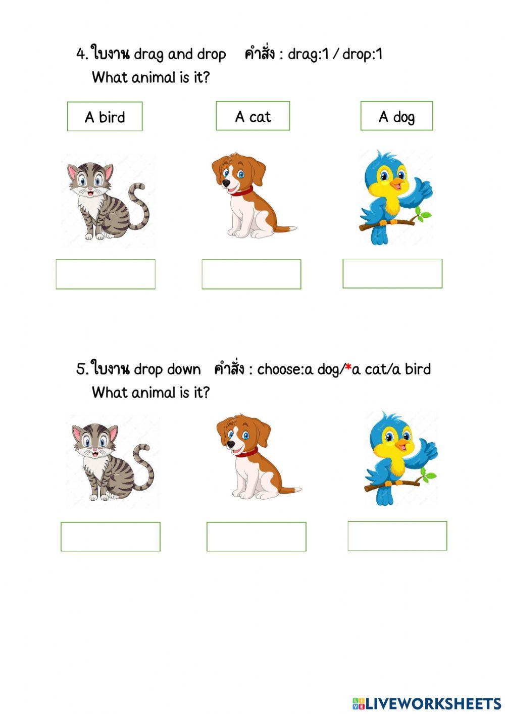 Liveworksheet ฉบับเข้าในง่ายๆ ใน 30 นาที 