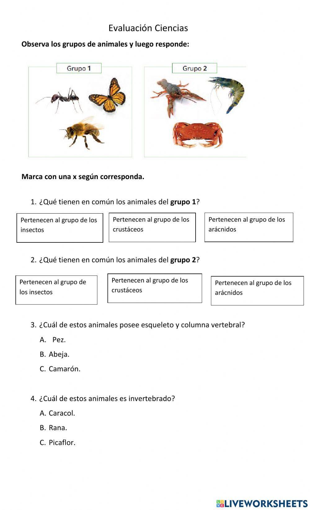 Animales vertebrados e invertebrados