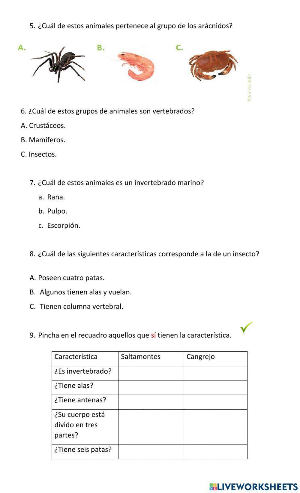 Animales vertebrados e invertebrados