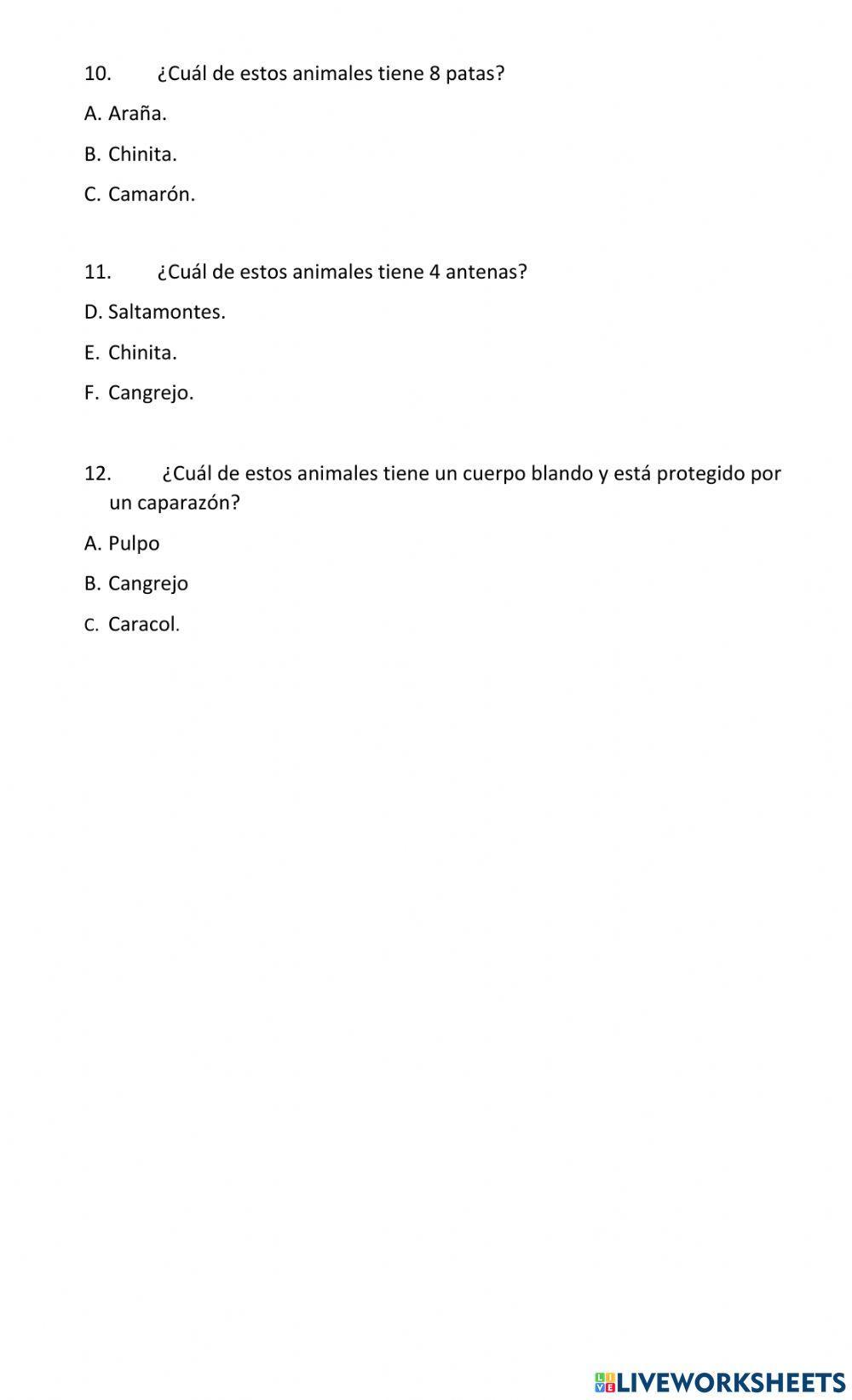 Animales vertebrados e invertebrados