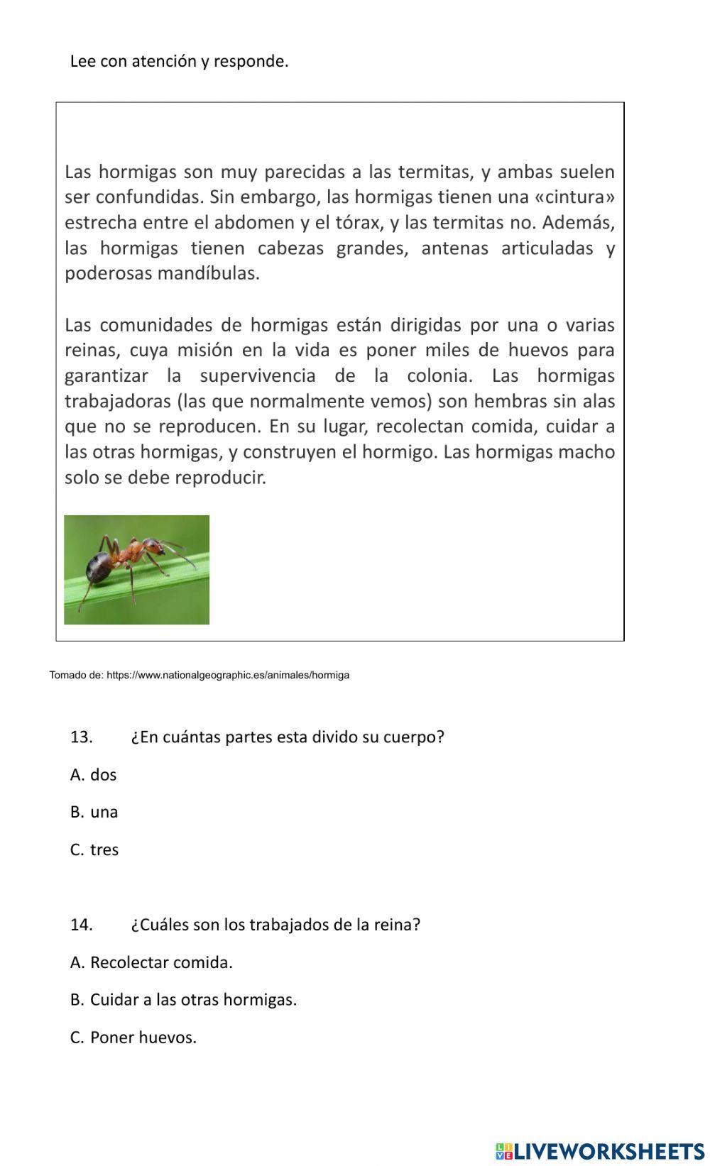 Animales vertebrados e invertebrados