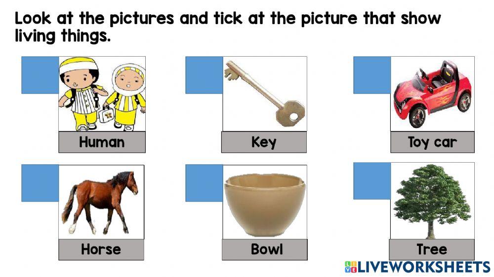 Living things &non-living things