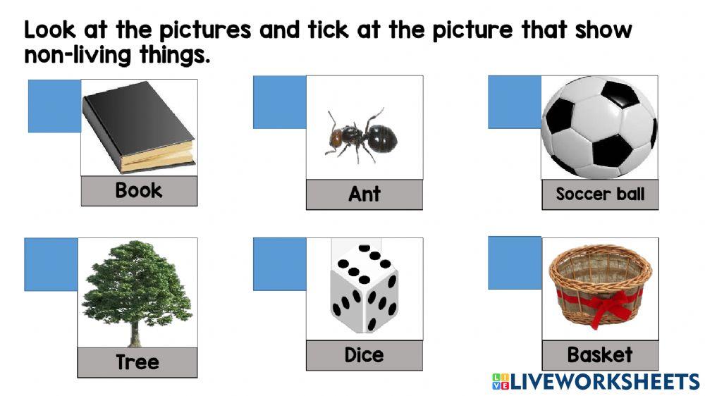 Living things &non-living things