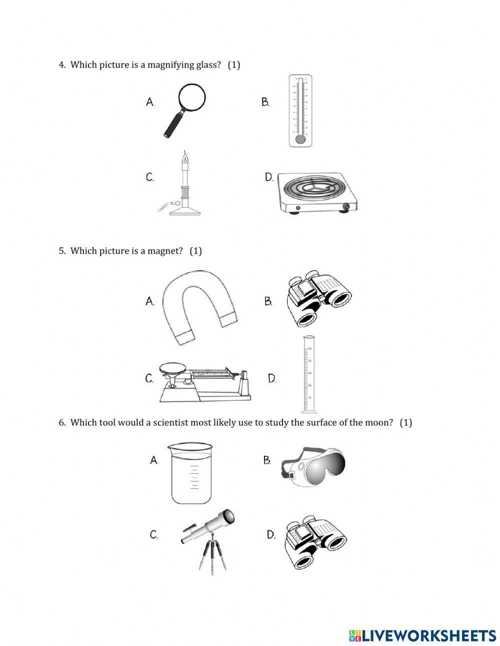 Grade 5-Process Skills Questions