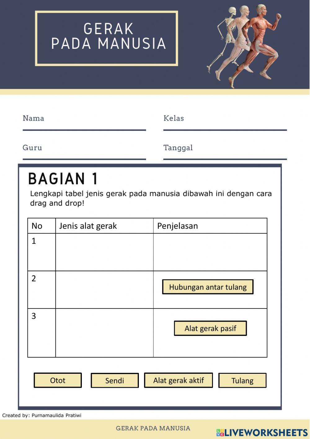 Sistem gerak manusia