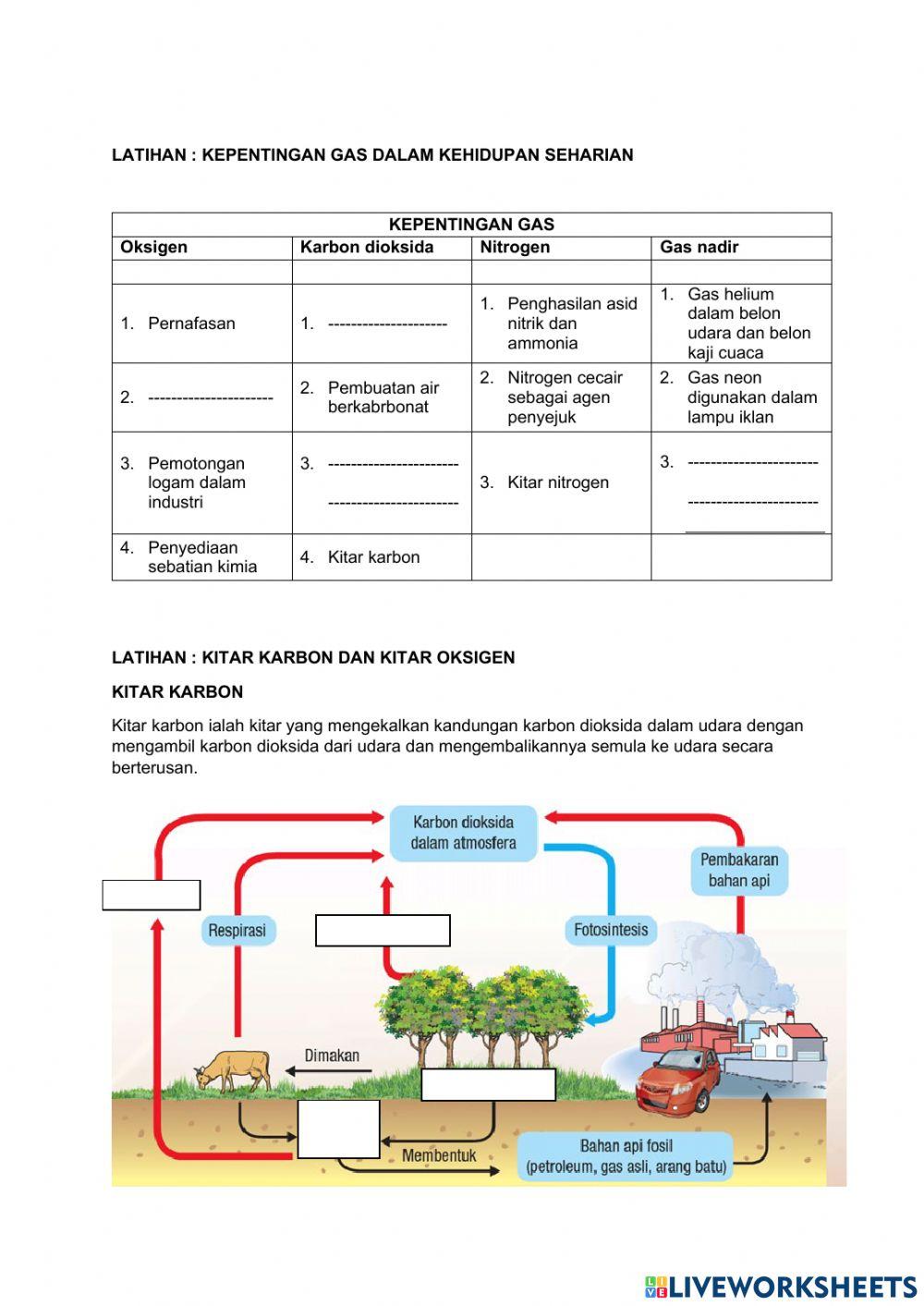 Kitar karbon dan kitar oksigen