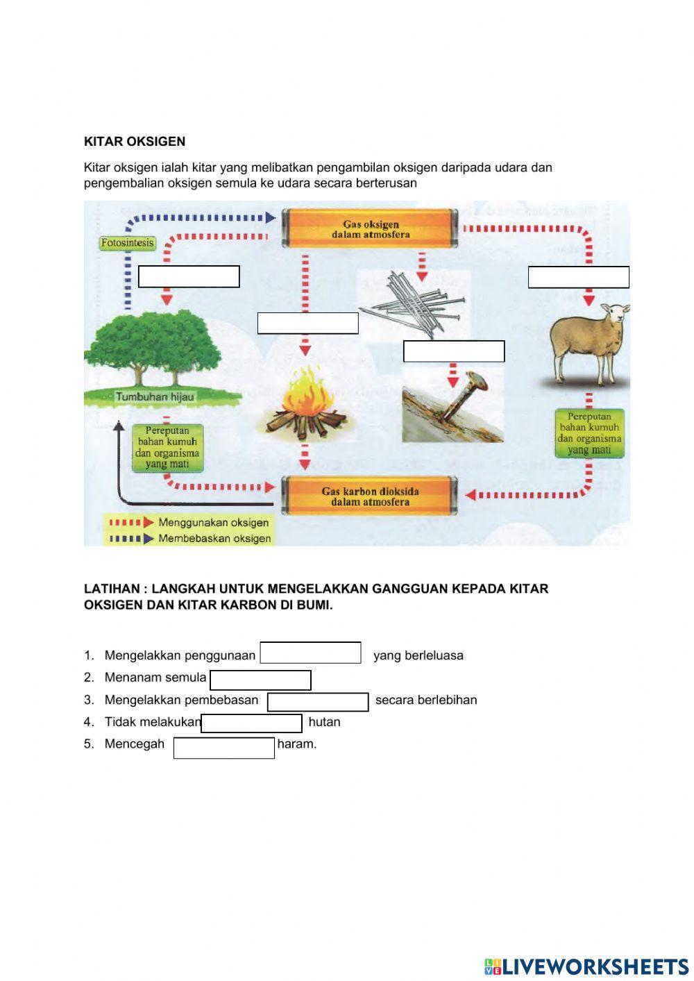 Kitar karbon dan kitar oksigen