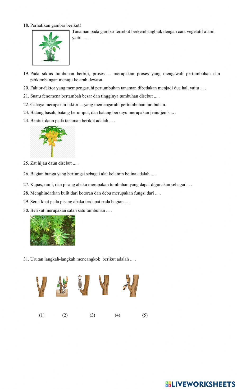 Latihan UH IPA KD 3.1