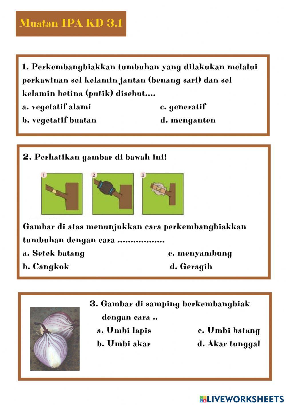 LKPD Kelas 6 T1 ST3 P3