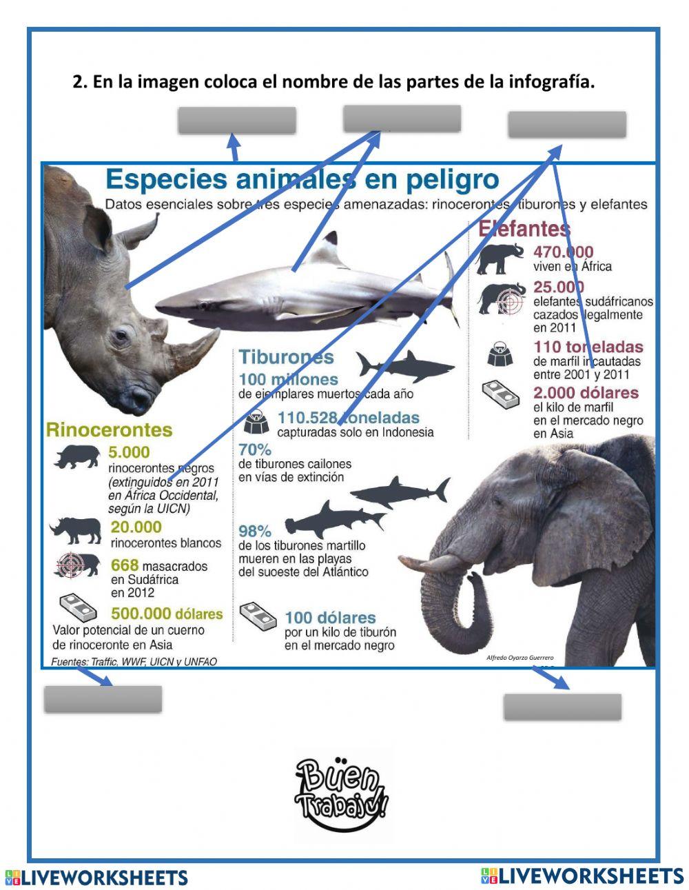 Estructura de la infografía
