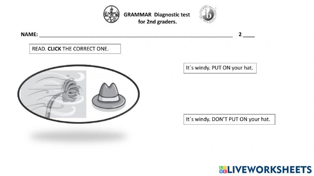 GRAMMAR DIAGNOSTIC for 2nd graders